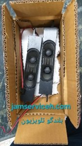 بلندگو-تلویزیون